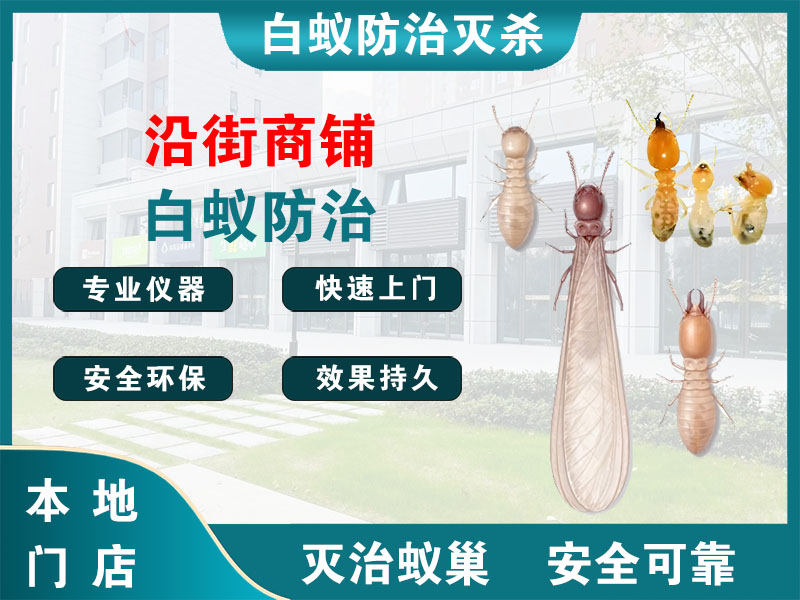 徐汇区沿街商铺白蚁防治