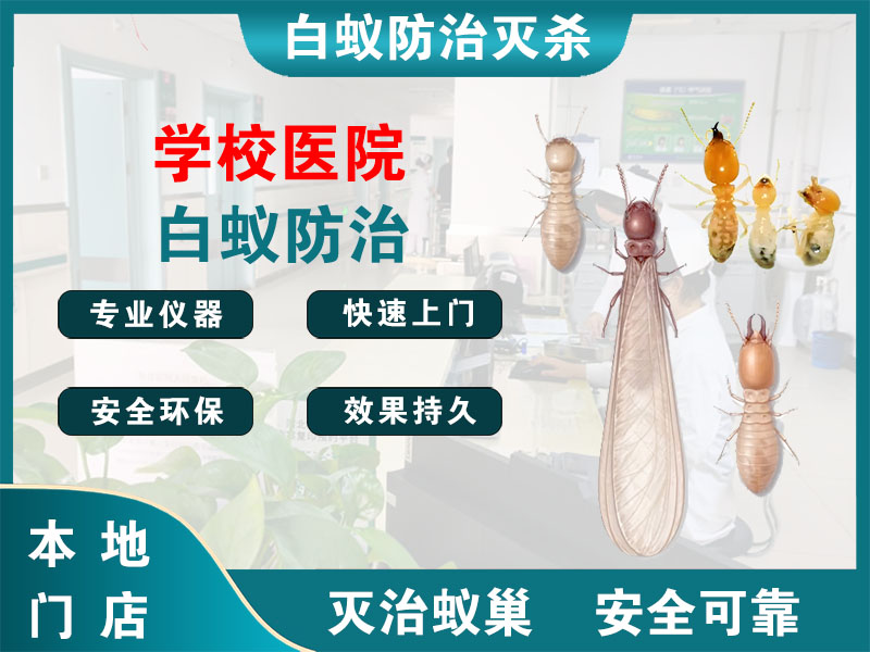 徐汇区学校医院白蚁防治