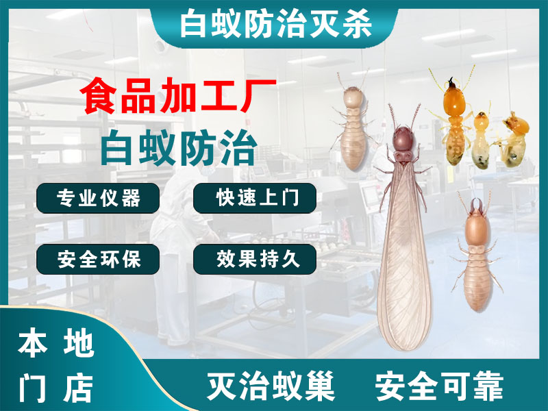 徐汇区食品加工厂白蚁防治