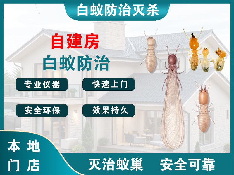 徐汇区自建房白蚁防治