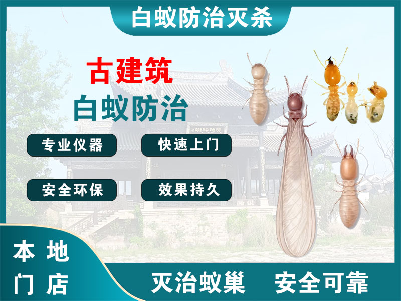 徐汇区古建筑白蚁防治